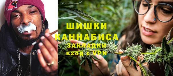 бошки Новодвинск