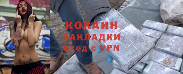бошки Новодвинск