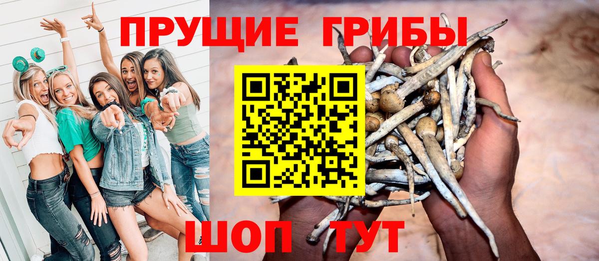 Галлюциногенные грибы Psilocybe Уварово