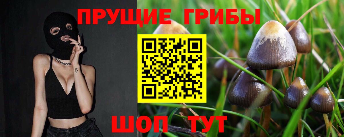 Псилоцибиновые грибы Magic Shrooms  что такое   Уварово 